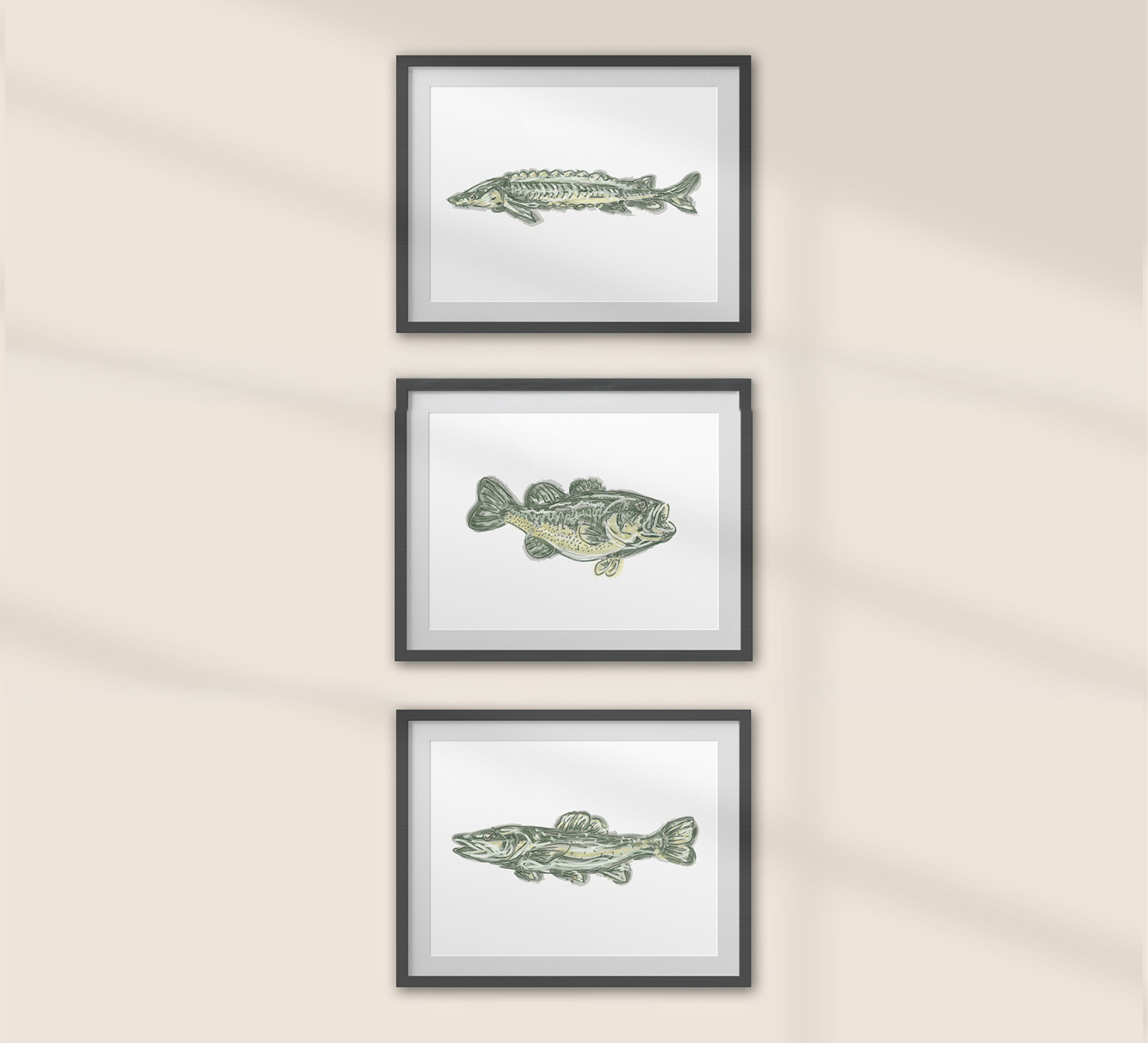 3 fish
